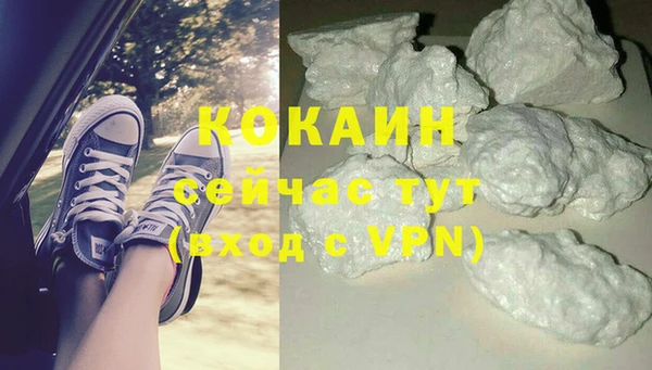 стафф Арсеньев