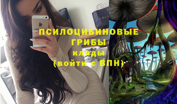 прущая мука Белоозёрский