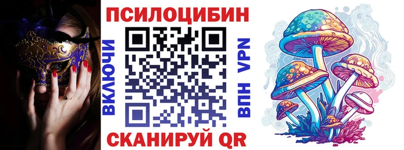 Галлюциногенные грибы Psilocybe Луховицы